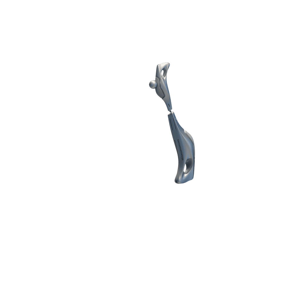 L_Arm