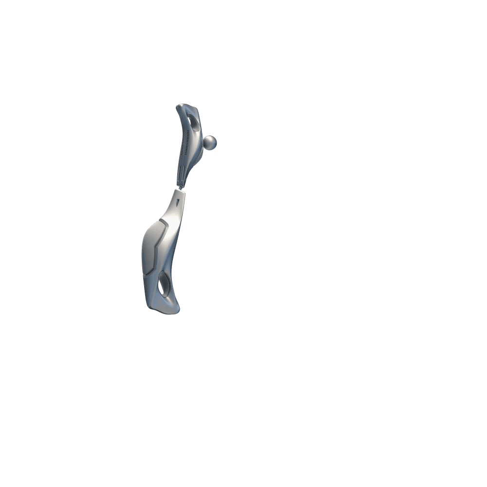 R_Arm