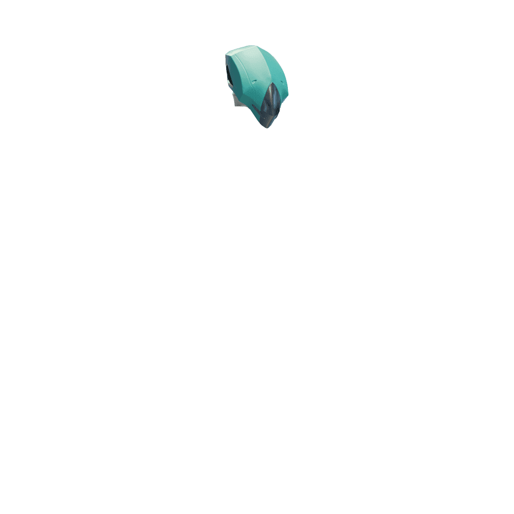Head