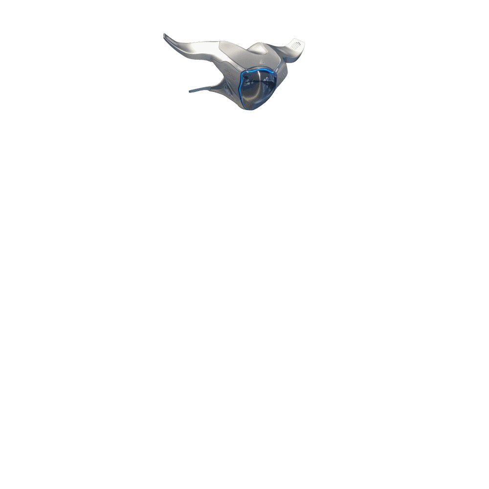 Head
