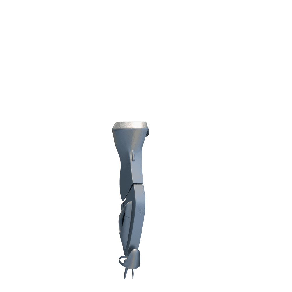 R_Leg